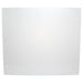 0.118 in. Thick 17.2 in. x 19.7 in. Polycarbonate Sheet used as Side Panel on Lander - am-3884 - migrated